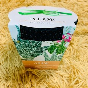 Aloe Starter Grow Kit & Black Container plant decor